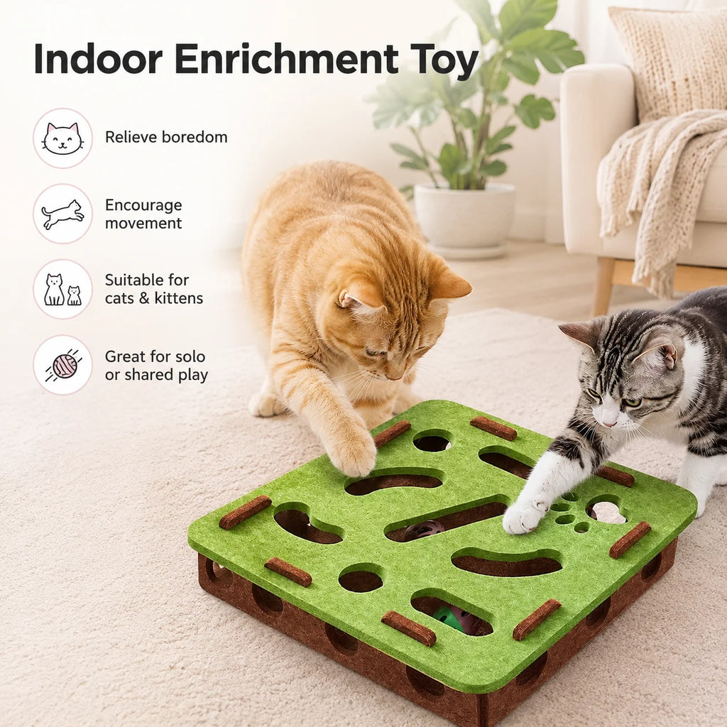 Interactive Cat Puzzle Maze