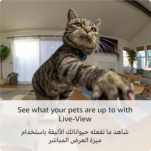 Ring Pan-Tilt Indoor Camera